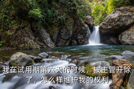 我在試用期第六天的時候，被主管開除了，怎么樣維護(hù)我的權(quán)利