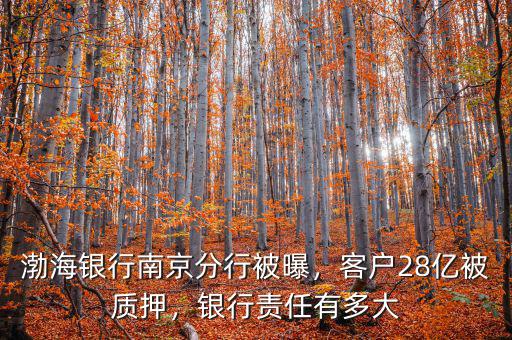 渤海銀行南京分行被曝，客戶28億被質(zhì)押，銀行責(zé)任有多大