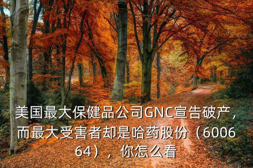 美國(guó)最大保健品公司GNC宣告破產(chǎn)，而最大受害者卻是哈藥股份（600664），你怎么看