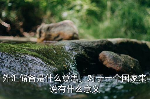 外匯儲(chǔ)備是什么意思，對于一個(gè)國家來說有什么意義