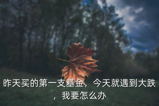 昨天買的第一支基金，今天就遇到大跌，我要怎么辦