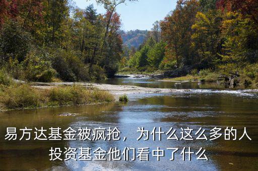 易方達基金被瘋搶，為什么這么多的人投資基金他們看中了什么