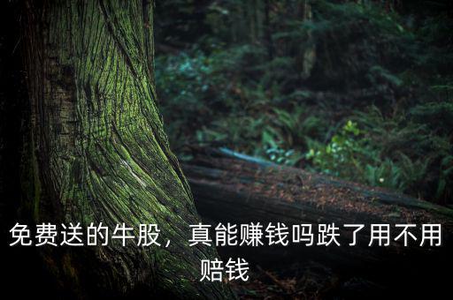 免費(fèi)送的牛股，真能賺錢嗎跌了用不用賠錢