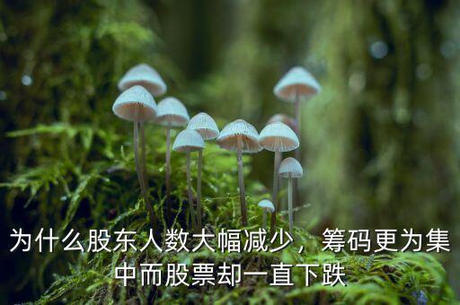 為什么股東人數(shù)大幅減少，籌碼更為集中而股票卻一直下跌
