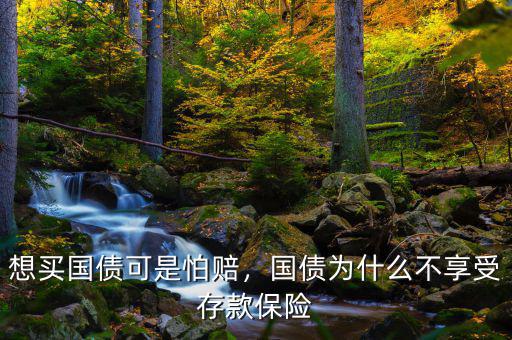 想買國債可是怕賠，國債為什么不享受存款保險