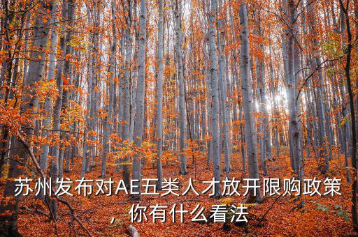 蘇州發(fā)布對(duì)AE五類人才放開限購政策，你有什么看法