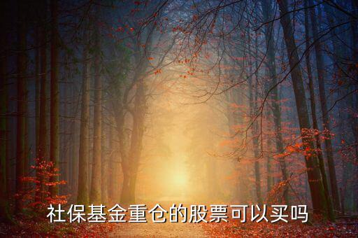 社保買了獐子島多少股票,社?；鹬貍}(cāng)的股票可以買嗎