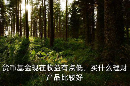 貨幣基金現(xiàn)在收益有點(diǎn)低，買什么理財(cái)產(chǎn)品比較好