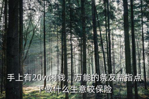 手上有20w閑錢，萬能的條友幫指點(diǎn)下做什么生意較保險(xiǎn)