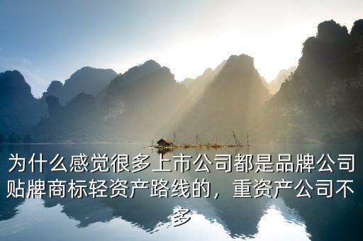 為什么感覺很多上市公司都是品牌公司貼牌商標輕資產(chǎn)路線的，重資產(chǎn)公司不多