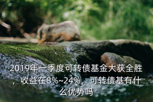 2019年一季度可轉(zhuǎn)債基金大獲全勝，收益在8%~24%，可轉(zhuǎn)債基有什么優(yōu)勢嗎