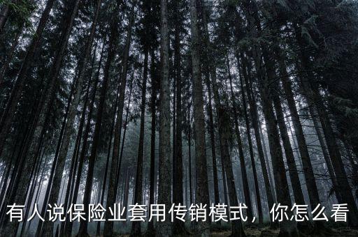 有人說保險業(yè)套用傳銷模式，你怎么看