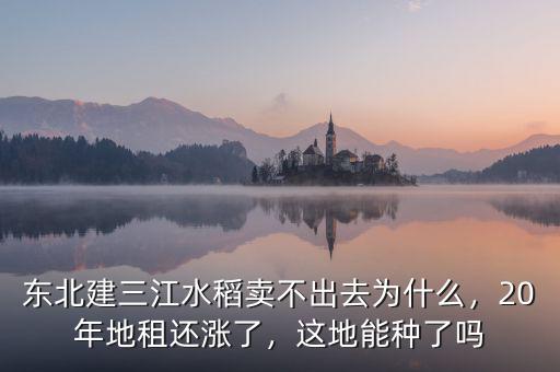 東北建三江水稻賣不出去為什么，20年地租還漲了，這地能種了嗎