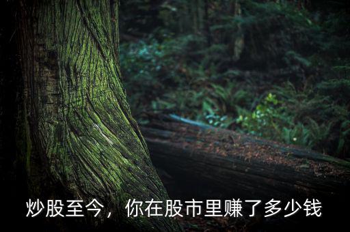 炒股至今，你在股市里賺了多少錢