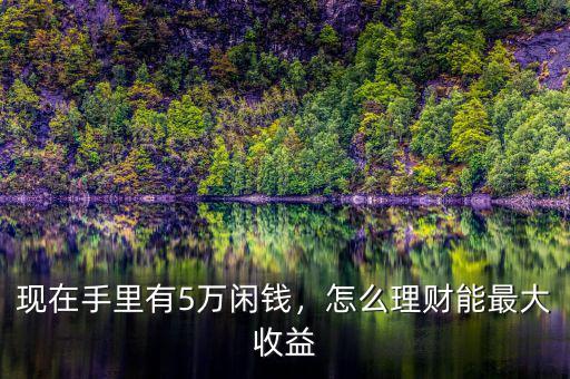 現(xiàn)在手里有5萬閑錢，怎么理財(cái)能最大收益