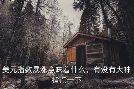 美元指數(shù)暴漲意味著什么，有沒有大神指點(diǎn)一下