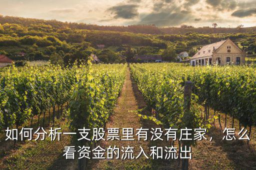 如何分析一支股票里有沒(méi)有莊家，怎么看資金的流入和流出