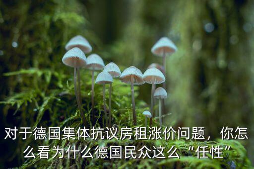 對于德國集體抗議房租漲價問題，你怎么看為什么德國民眾這么“任性”