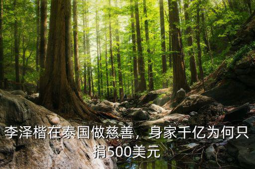 李澤楷在泰國做慈善，身家千億為何只捐500美元
