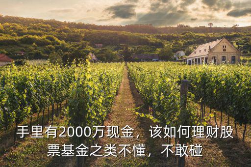 手里有2000萬現(xiàn)金，該如何理財股票基金之類不懂，不敢碰