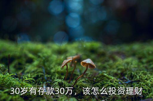 30歲有存款30萬，該怎么投資理財