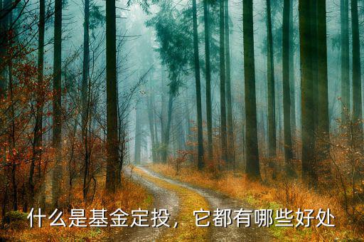 什么是基金定投，它都有哪些好處