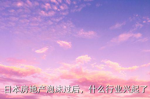 日本房地產泡沫過后，什么行業(yè)興起了
