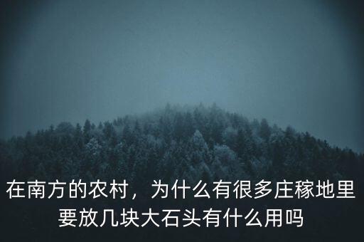在南方的農(nóng)村，為什么有很多莊稼地里要放幾塊大石頭有什么用嗎