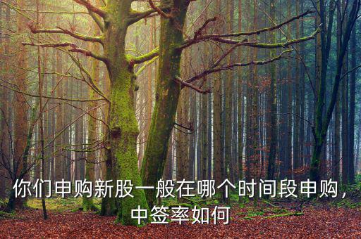 你們申購新股一般在哪個時間段申購，中簽率如何