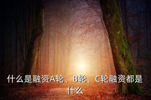 什么是融資A輪、B輪、C輪融資都是什么