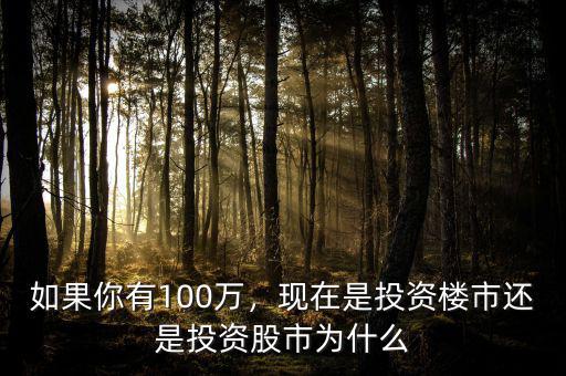 如果你有100萬，現(xiàn)在是投資樓市還是投資股市為什么