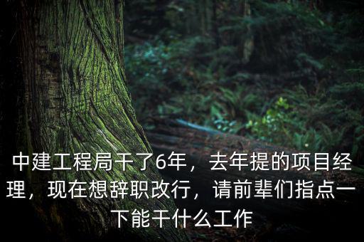 中建工程局干了6年，去年提的項目經(jīng)理，現(xiàn)在想辭職改行，請前輩們指點一下能干什么工作