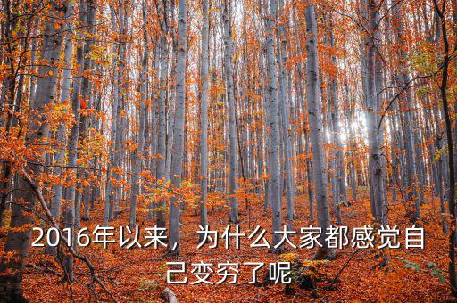 2016年以來，為什么大家都感覺自己變窮了呢