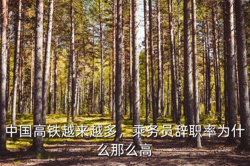 中國(guó)高鐵越來越多，乘務(wù)員辭職率為什么那么高