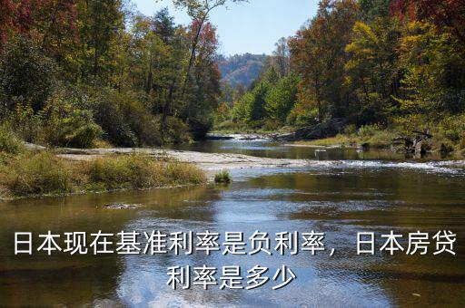 日本現(xiàn)在基準(zhǔn)利率是負(fù)利率，日本房貸利率是多少