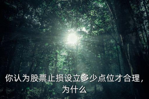 你認為股票止損設(shè)立多少點位才合理，為什么