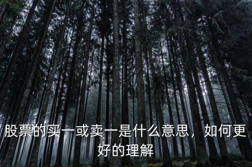 股票的買一或賣一是什么意思，如何更好的理解