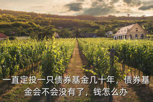 一直定投一只債券基金幾十年，債券基金會不會沒有了，錢怎么辦