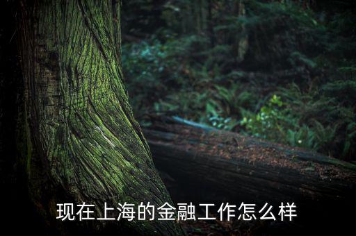 上?；バ沤鹑谠趺礃?上海立信會計金融學(xué)院怎么樣