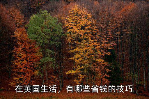 在英國生活，有哪些省錢的技巧