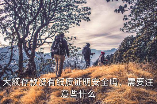 大額存款沒有紙質(zhì)證明安全嗎，需要注意些什么