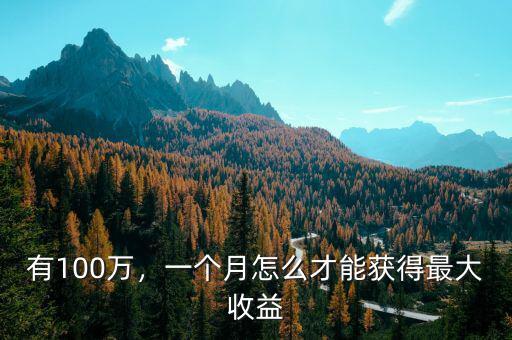 有100萬，一個月怎么才能獲得最大收益