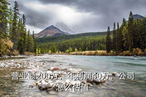 營業(yè)額200萬，年利潤40萬，公司怎么估值