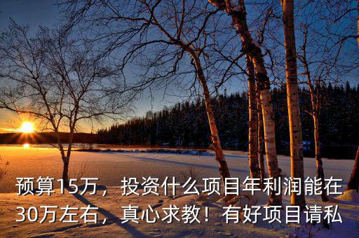 預(yù)算15萬(wàn)，投資什么項(xiàng)目年利潤(rùn)能在30萬(wàn)左右，真心求教！有好項(xiàng)目請(qǐng)私