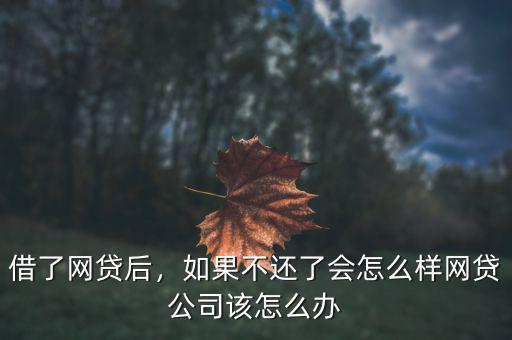 借了網貸后，如果不還了會怎么樣網貸公司該怎么辦