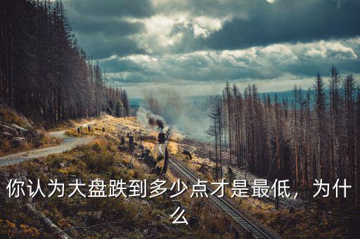 你認為大盤跌到多少點才是最低，為什么