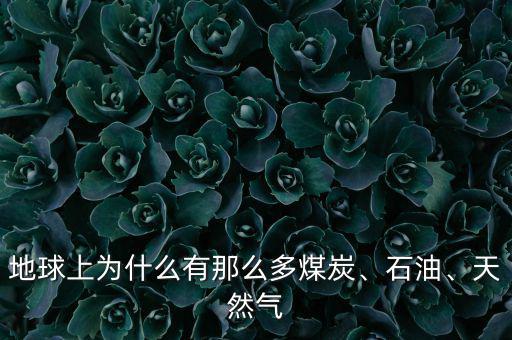 地球上為什么有那么多煤炭、石油、天然氣