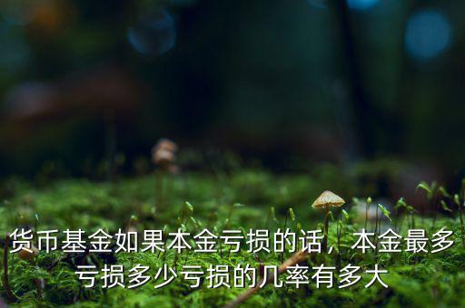 貨幣基金如果本金虧損的話，本金最多虧損多少虧損的幾率有多大
