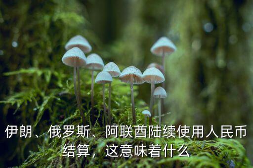伊朗、俄羅斯、阿聯(lián)酋陸續(xù)使用人民幣結算，這意味著什么