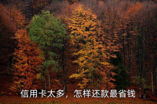 信用卡太多，怎樣還款最省錢
